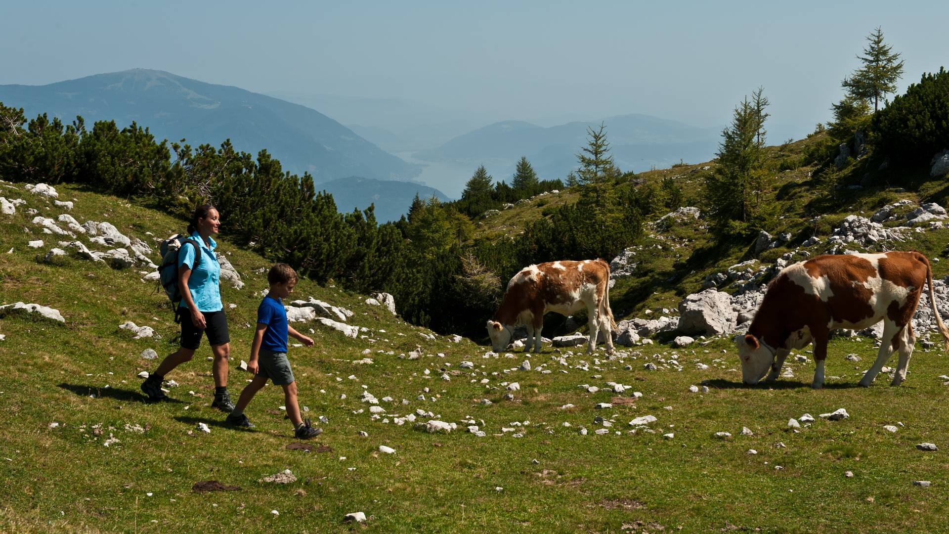 <p>Wandern am Dobratsch</p>