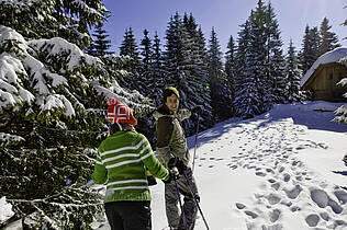 Schneeschuhwanderung zur Almhütte