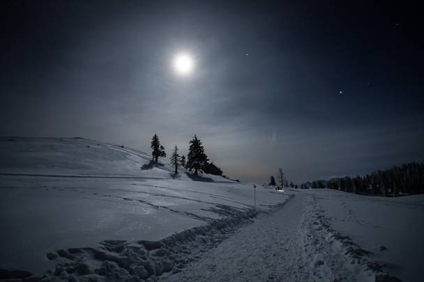 Geführte Vollmond-Schneeschuhwanderung in Kärnten - im Naturpark Dobratsch.
