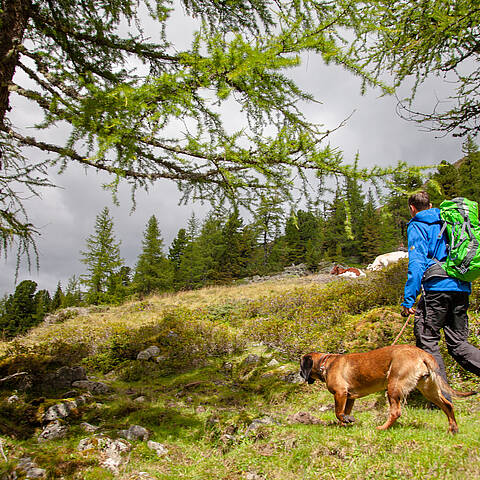 Weitwandern mit Hund in der Region Bad Kleinkirchheim