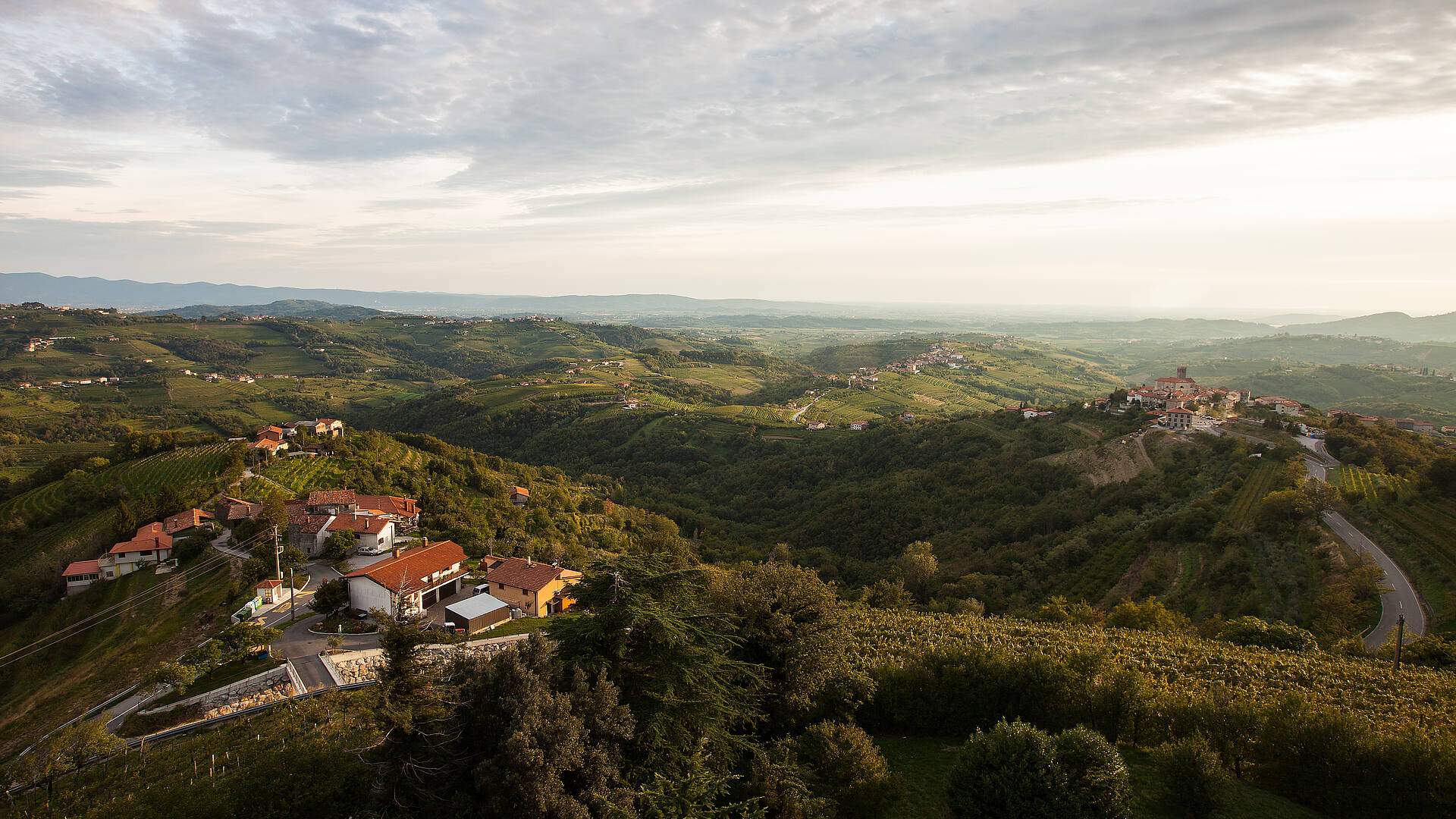 Aussicht auf die Goriška Brda die „Slowenische Toskana“ 