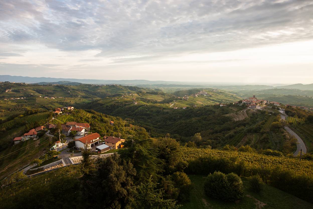 Aussicht auf die Goriška Brda die „Slowenische Toskana“ 
