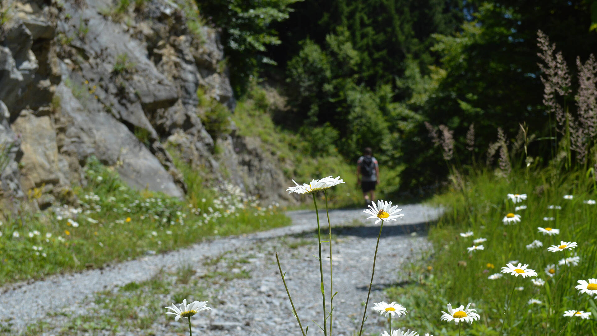 Garnitzenklamm Forstweg zur Urbani Kirche