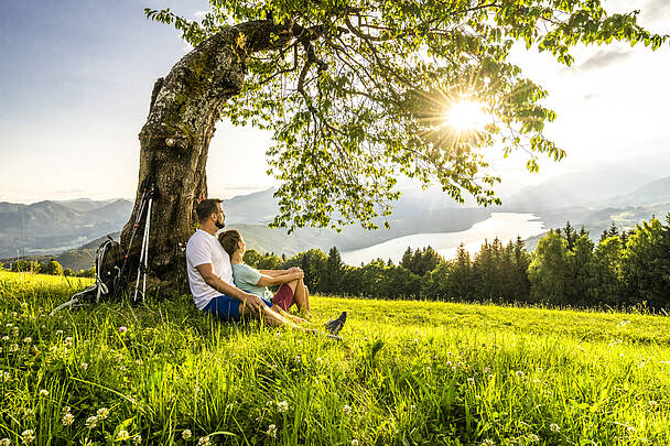 Mann und Frau sitzen im Schatten eines Baumes in der Via Paradiso.