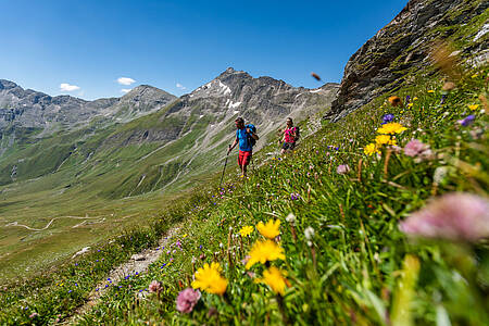 Pěší turistika v národním parku na trase Alpe-Adria-Trail