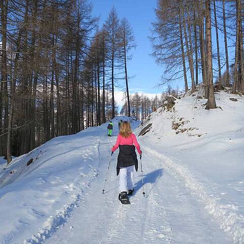 Heiligenblut Schneeschuhwandern c ReiseSpatz Sabine Schwaighofer