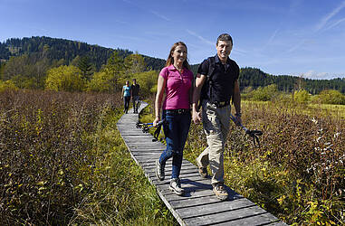 Hoerfeldmoor Mittelkaernten 