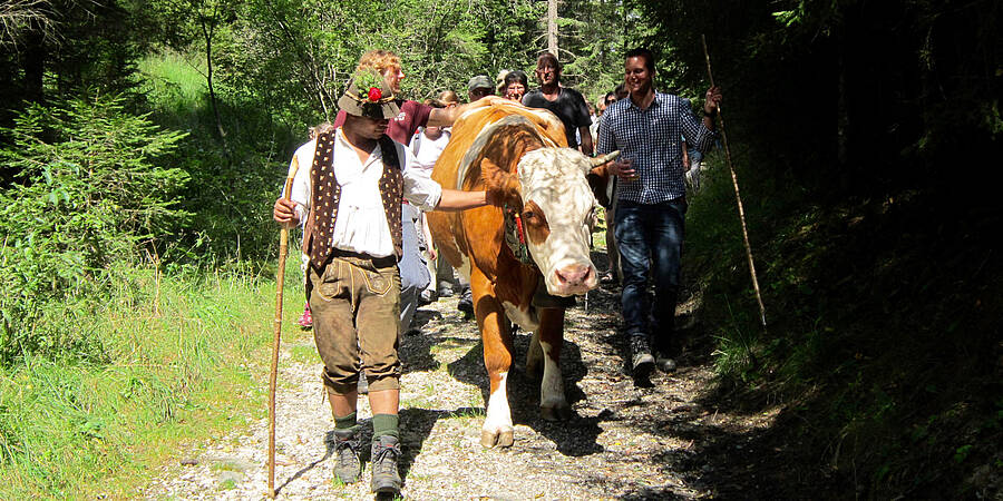 Nockberge Almabtrieb