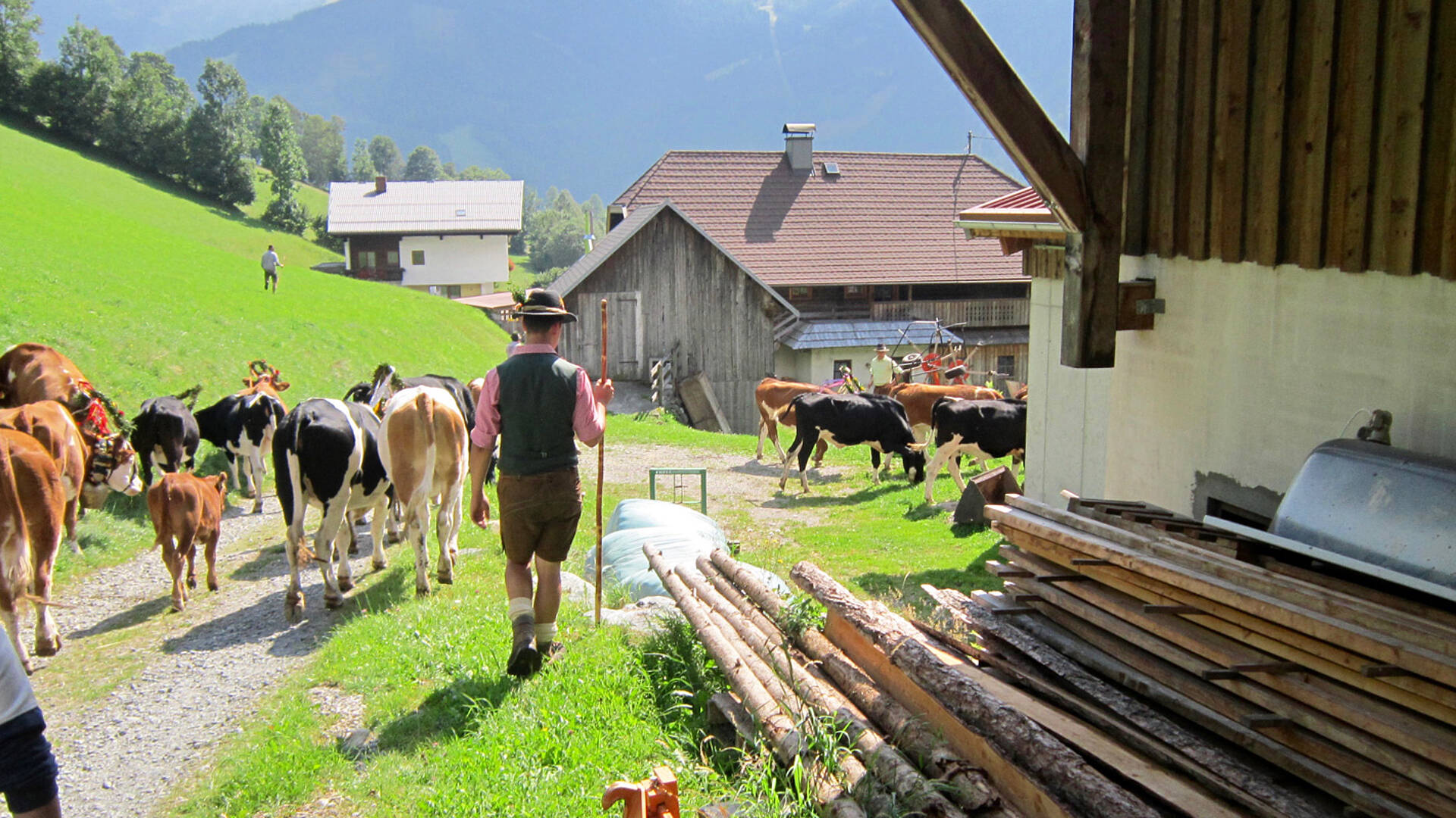 Nockberge Almabtrieb