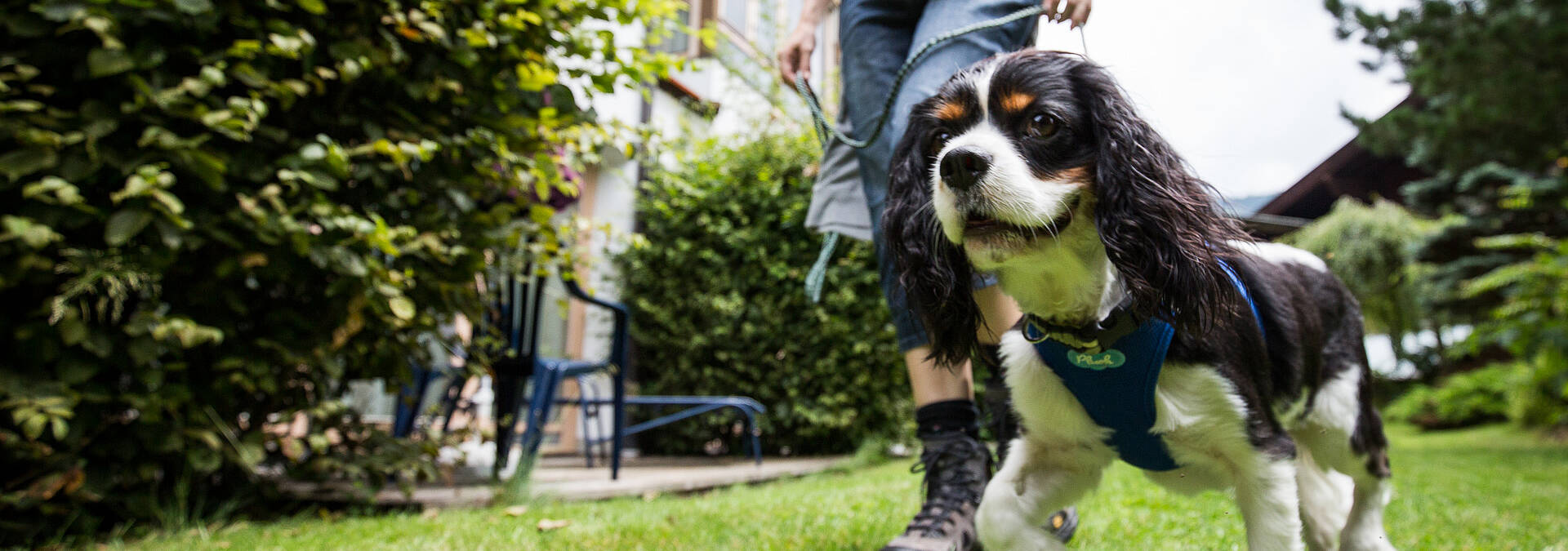 Ortners Eschenhof Urlaub mit Hund