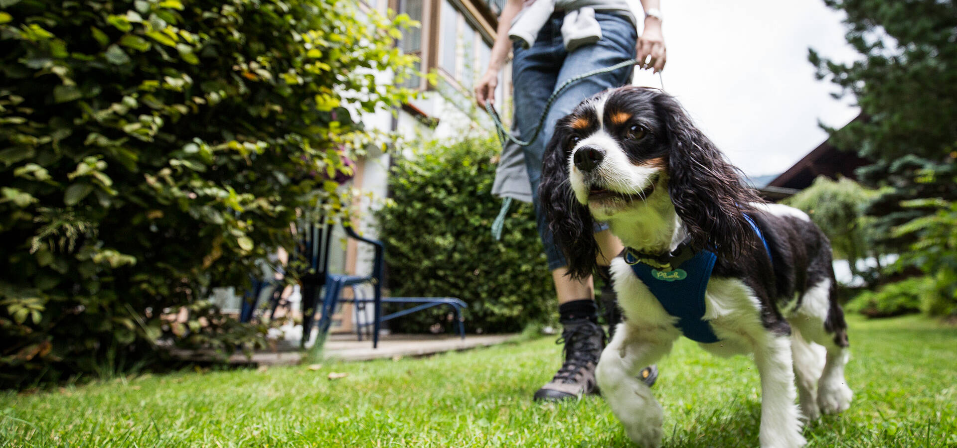 Ortners Eschenhof Urlaub mit Hund