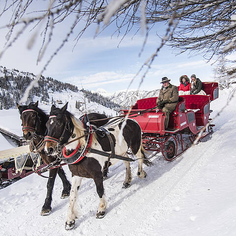 Romantische Pferdeschlittenfahrt am Katschberg