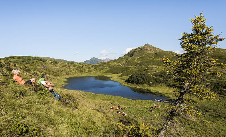 Panoramawandern Nassfeld 