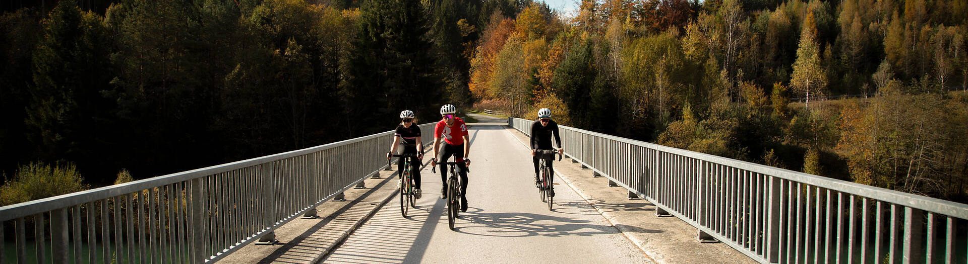 Gravelbike Wörthersee