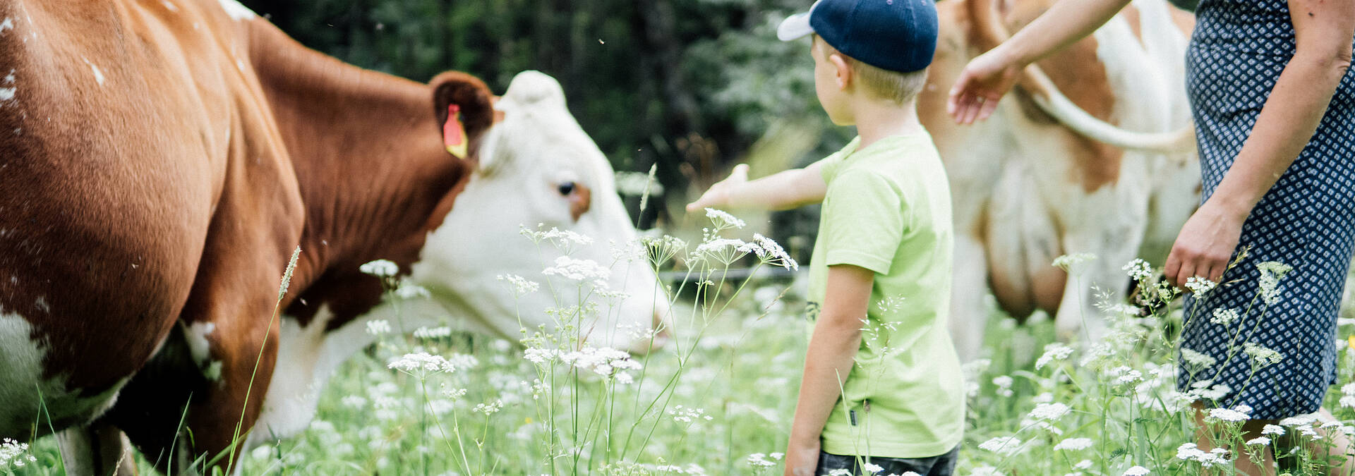 Urlaub am Bauernhof Weger Frau und Kind bei der Kuh 