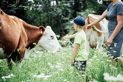 Urlaub am Bauernhof Weger Frau und Kind bei der Kuh 