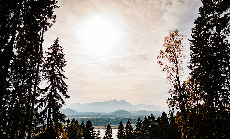 Landschaft Herbst Wald Klopeiner See - Südkärnten