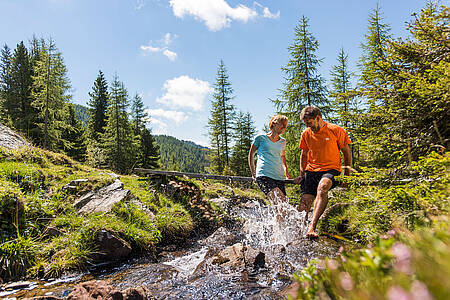 Nockbergsk&yacute; trail 